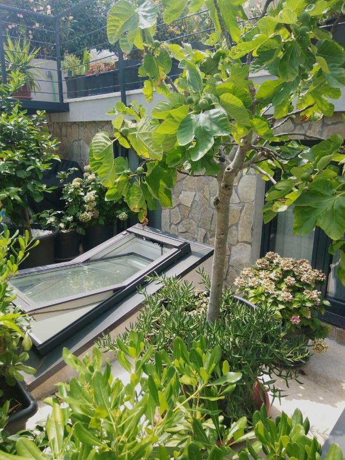 Artspace Location-Opatija-3 Bedroom House With Rooftop Garden By Beach Εξωτερικό φωτογραφία