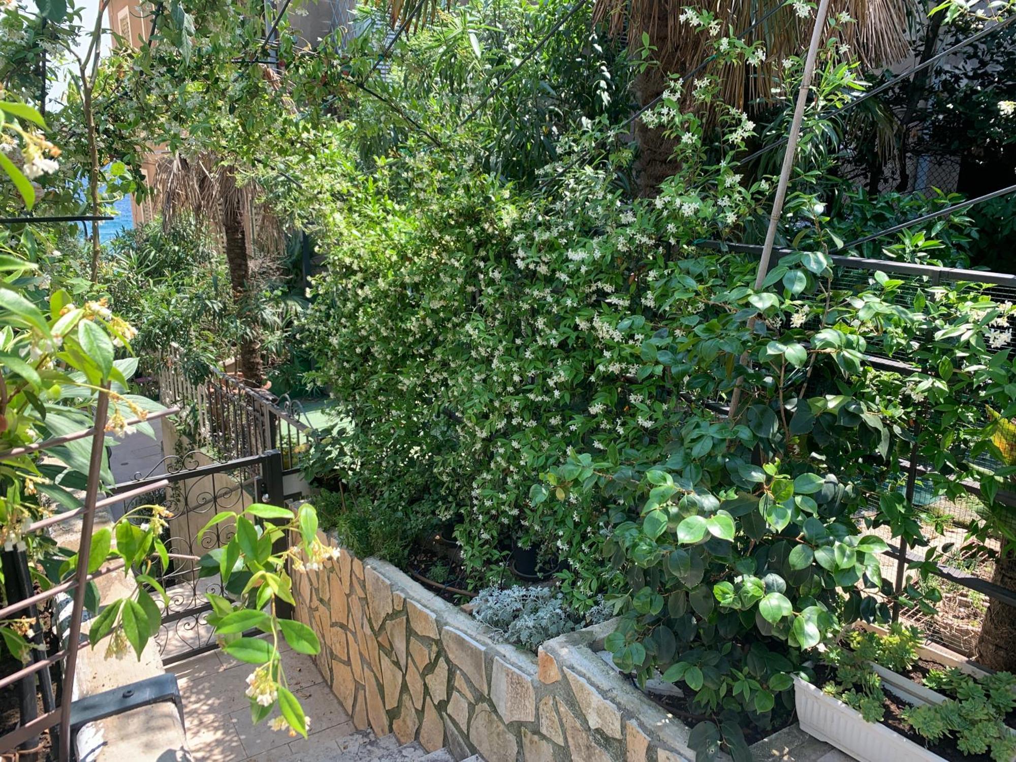 Artspace Location-Opatija-3 Bedroom House With Rooftop Garden By Beach Εξωτερικό φωτογραφία